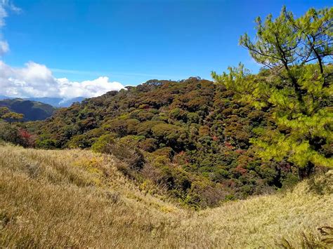 top 10 coldest place in the philippines|Mount Pulag – the coldest place in the Philippines.